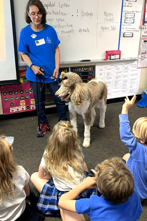 Dog and kids