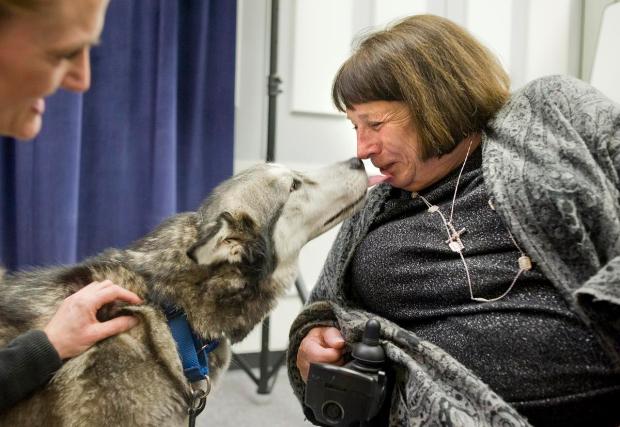 Paws therapy dogs program