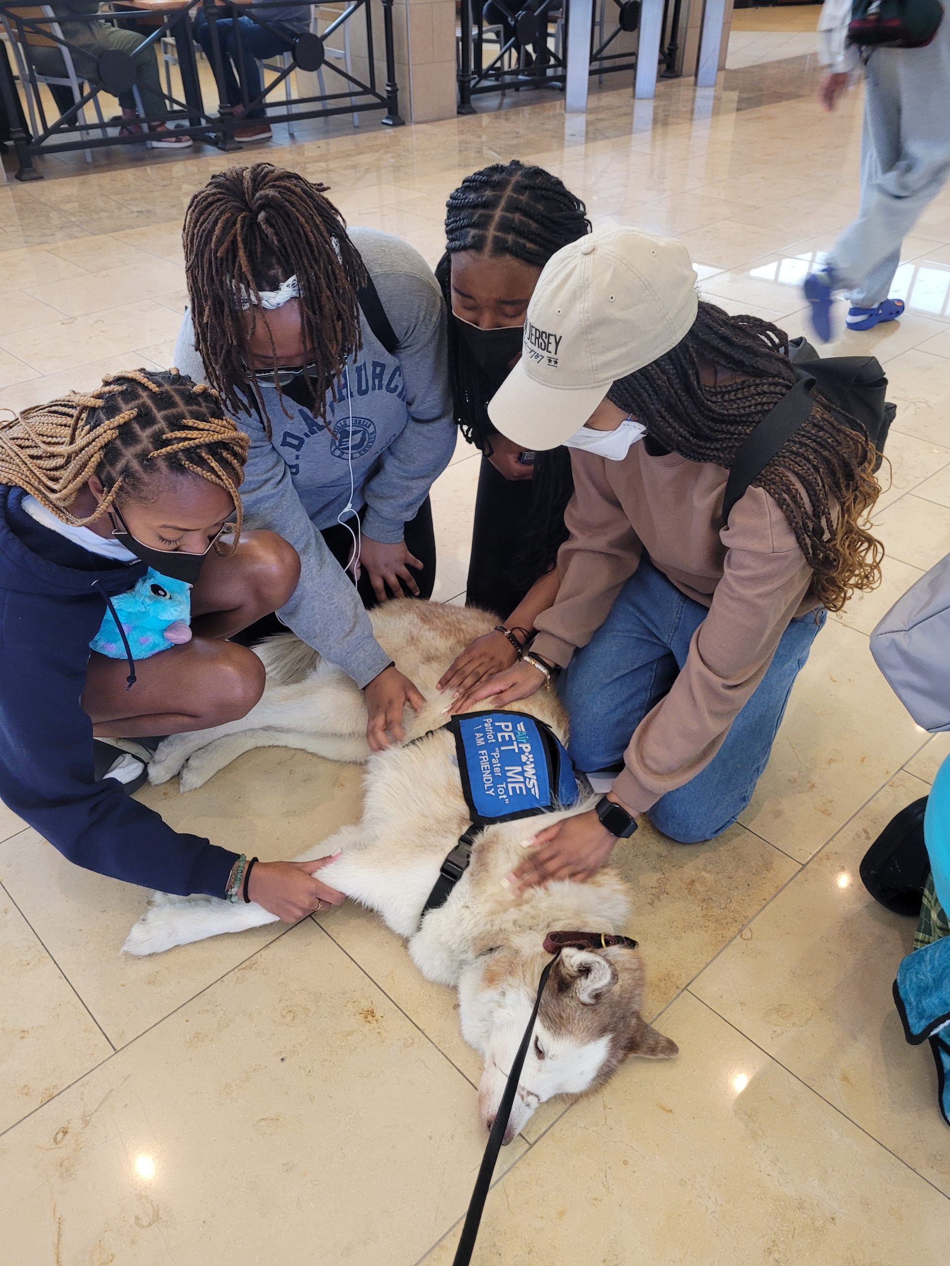 Paws Therapy dogs Program